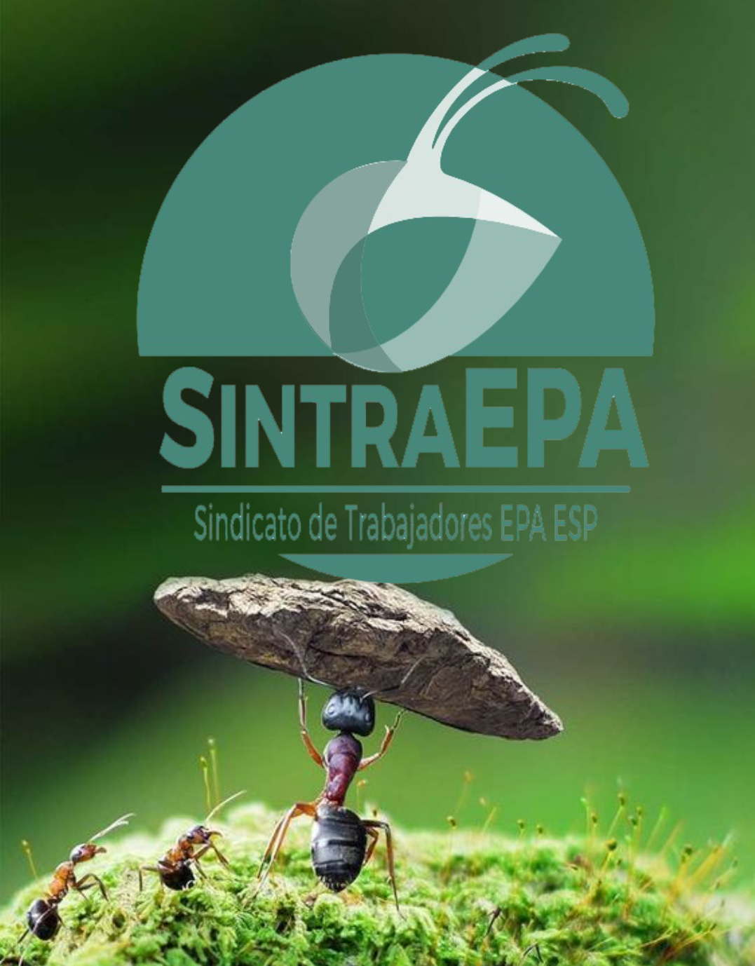 SINTRAEPA